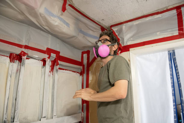 Professional Mold Removal in Loris, SC