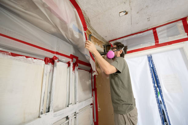 Best Mold Prevention Services  in Loris, SC