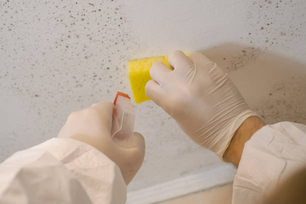 Best Indoor Air Quality Assessment  in Loris, SC
